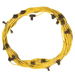 100mt 110V ES Festoon Lighting String (3M Spacing)